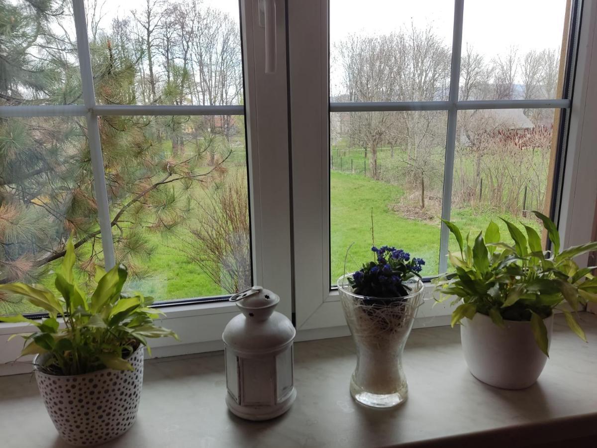 Zielone Buki Apartman Buczkowice Kültér fotó